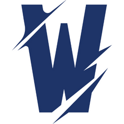 Logo Team Whales